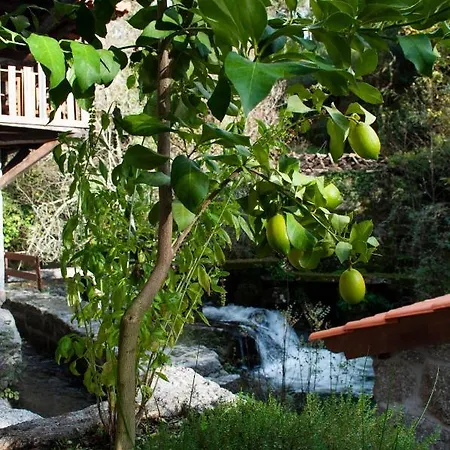 Quinta Das Bollotas * Fafe