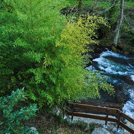 Vakantieboerderij Quinta Das Bollotas