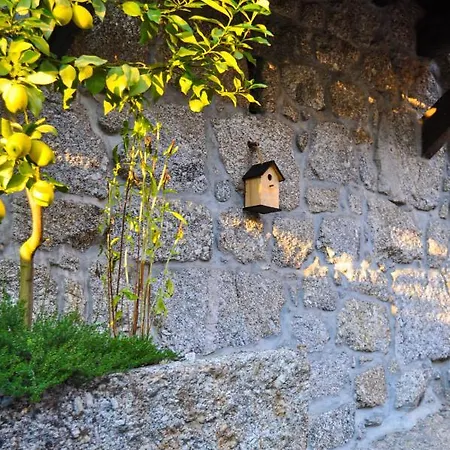 Feriegård Quinta Das Bollotas *