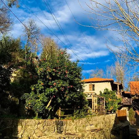 Quinta Das Bollotas Çiftlik konaklama Fafe
