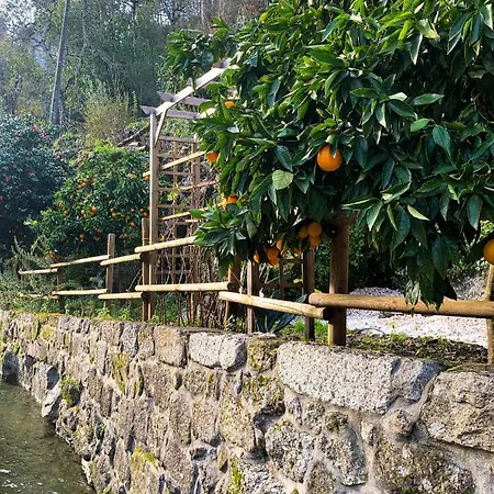 Quinta Das Bollotas *