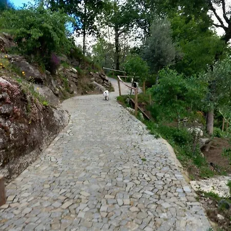 Quinta Das Bollotas Fafe