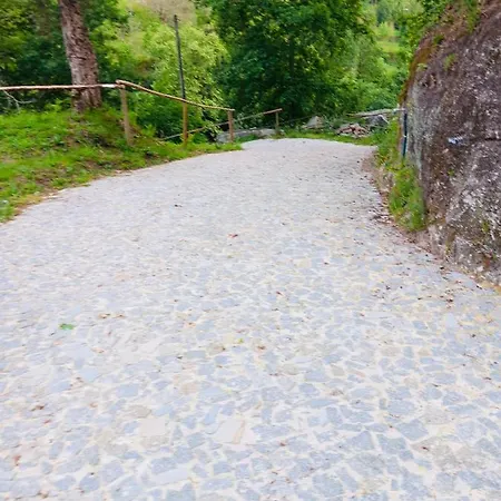 Quinta Das Bollotas *