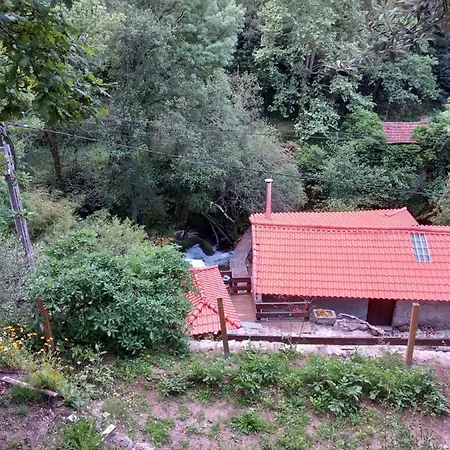 Çiftlik konaklama Quinta Das Bollotas