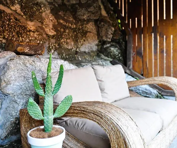 Farma Quinta Das Bollotas