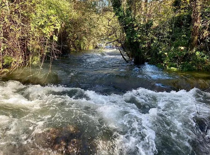 Quinta Das Bollotas *