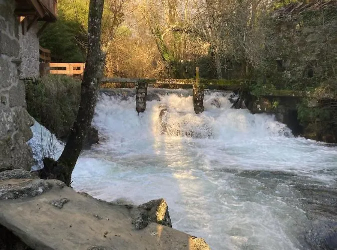 Quinta Das Bollotas *