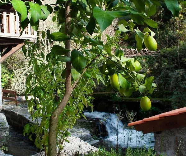 Quinta Das Bollotas * Fafe