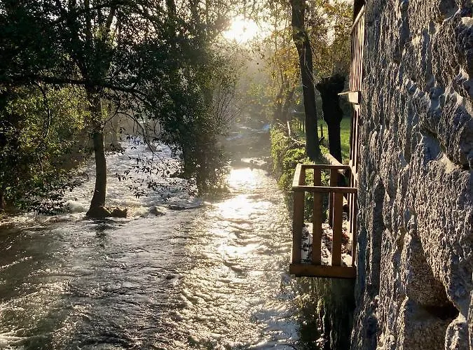 Farma Quinta Das Bollotas