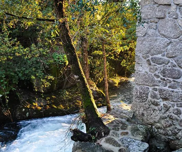 Farma Quinta Das Bollotas Fafe