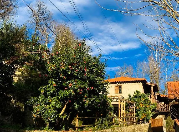 Quinta Das Bollotas בית חווה פאפה