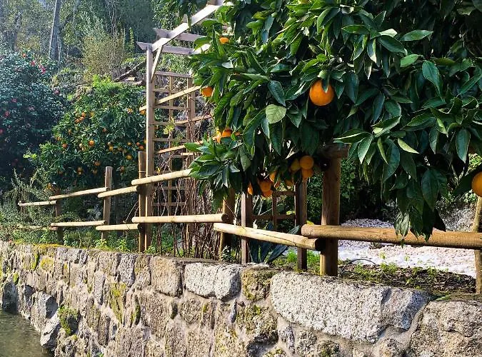 Quinta Das Bollotas *