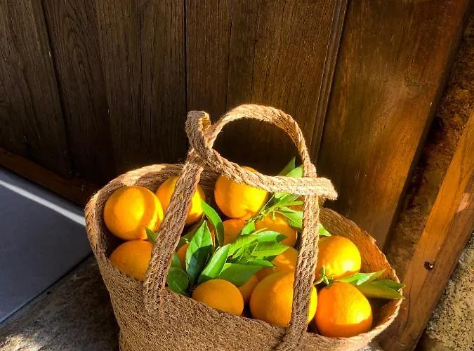 Quinta Das Bollotas Farma