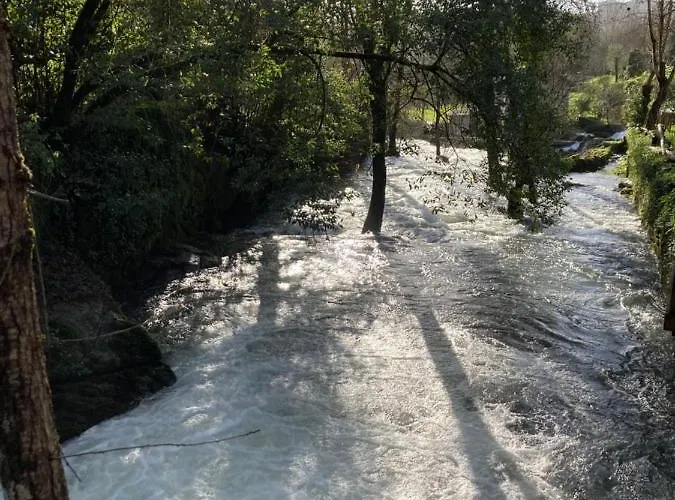 Farma Quinta Das Bollotas