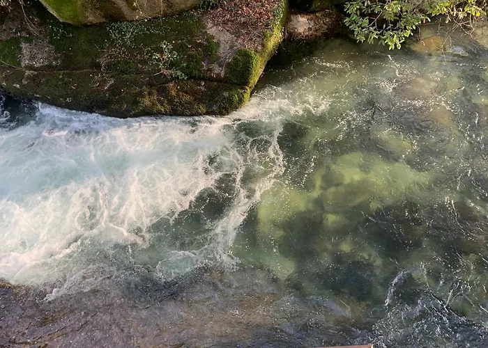 Quinta Das Bollotas Farma Fafe