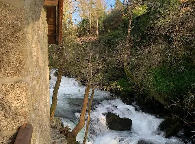 Quinta Das Bollotas Farma