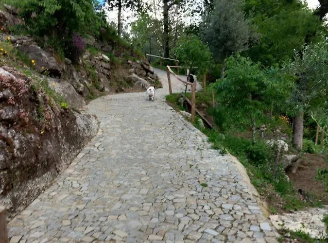 Quinta Das Bollotas פאפה