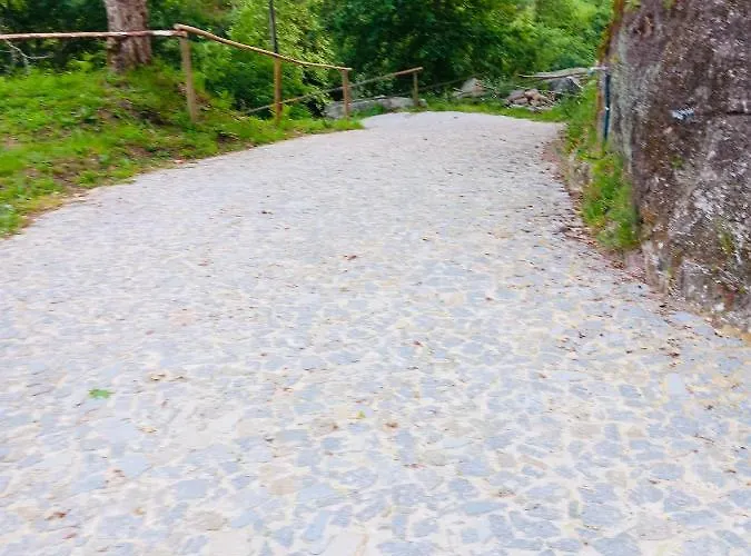 Quinta Das Bollotas *